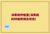 滇黄精种植量(滇黄精的种植规模及现状)