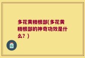 多花黄精根部(多花黄精根部的神奇功效是什么？)