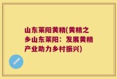山东莱阳黄精(黄精之乡山东莱阳：发展黄精产业助力乡村振兴)