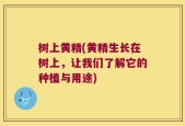 树上黄精(黄精生长在树上，让我们了解它的种植与用途)