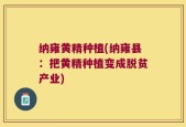 纳雍黄精种植(纳雍县：把黄精种植变成脱贫产业)