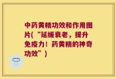 中药黄精功效和作用图片(“延缓衰老，提升免疫力！药黄精的神奇功效”)