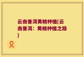 云南普洱黄精种植(云南普洱：黄精种植之路)