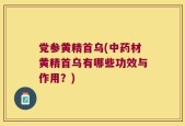 党参黄精首乌(中药材黄精首乌有哪些功效与作用？)