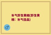 补气野生黄精(野生黄精：补气佳品)