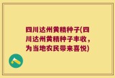 四川达州黄精种子(四川达州黄精种子丰收，为当地农民带来喜悦)