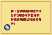 林下套种黄精种植市场分析(黄精林下套种的种植市场现状和前景分析)