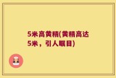 5米高黄精(黄精高达5米，引人瞩目)