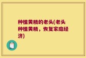 种植黄精的老头(老头种植黄精，恢复家庭经济)