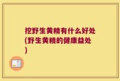 挖野生黄精有什么好处(野生黄精的健康益处)