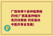 广西有哪个县种植黄精药材(广西某县种植珍贵药材黄精 切实推动中医药事业发展)