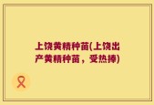 上饶黄精种苗(上饶出产黄精种苗，受热捧)