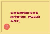 武隆黄精种苗(武隆黄精种植技术：种苗选购与养护)