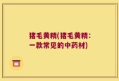 猪毛黄精(猪毛黄精：一款常见的中药材)