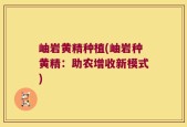 岫岩黄精种植(岫岩种黄精：助农增收新模式)