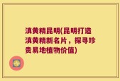 滇黄精昆明(昆明打造滇黄精新名片，探寻珍贵易地植物价值)