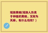 瑶族黄精(瑶族人热衷于种植的黄精，又称为天麻，有什么功效？)