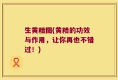生黄精图(黄精的功效与作用，让你再也不错过！)