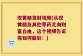 挖黄精发财视频(从挖黄精及其他草药走向财富自由，这个视频告诉你如何做到！)