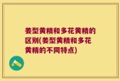 姜型黄精和多花黄精的区别(姜型黄精和多花黄精的不同特点)