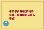中药子肉黄精(药物界奇才，肉黄精启示惊人奇迹)