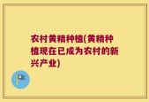 农村黄精种植(黄精种植现在已成为农村的新兴产业)