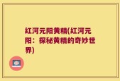 红河元阳黄精(红河元阳：探秘黄精的奇妙世界)