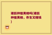 建瓯种植黄精吗(建瓯种植黄精，养生又赚钱)