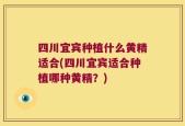 四川宜宾种植什么黄精适合(四川宜宾适合种植哪种黄精？)