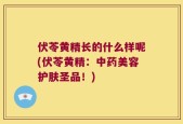 伏苓黄精长的什么样呢(伏苓黄精：中药美容护肤圣品！)