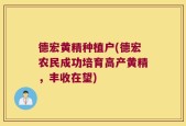 德宏黄精种植户(德宏农民成功培育高产黄精，丰收在望)