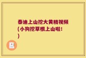 泰迪上山挖大黄精视频(小狗挖草根上山啦！)