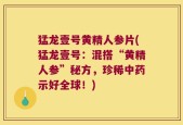 猛龙壹号黄精人参片(猛龙壹号：混搭“黄精人参”秘方，珍稀中药示好全球！)