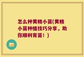 怎么种黄精小苗(黄精小苗种植技巧分享，助你顺利育苗！)