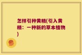怎样引种黄精(引入黄精：一种新的草本植物)