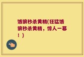 饿狼秒杀黄精(狂猛饿狼秒杀黄精，惊人一幕！)