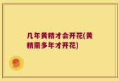 几年黄精才会开花(黄精需多年才开花)