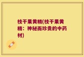 枝干果黄精(枝干果黄精：神秘而珍贵的中药材)