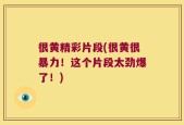 很黄精彩片段(很黄很暴力！这个片段太劲爆了！)