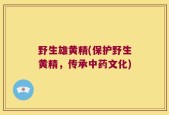 野生雄黄精(保护野生黄精，传承中药文化)