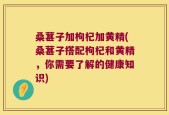 桑葚子加枸杞加黄精(桑葚子搭配枸杞和黄精，你需要了解的健康知识)
