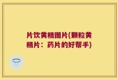 片饮黄精图片(颗粒黄精片：药片的好帮手)