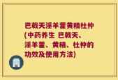 巴戟天淫羊藿黄精杜仲(中药养生 巴戟天、淫羊藿、黄精、杜仲的功效及使用方法)