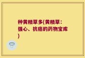 种黄精草多(黄精草：强心、抗癌的药物宝库)