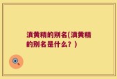 滇黄精的别名(滇黄精的别名是什么？)
