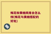 梅花和黄精同用会怎么样(梅花与黄精搭配的好处)