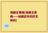 地藏王黄精(地藏王黄精——秘藏百年的药王神药)