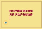 四川种黄精(四川种植黄精 黄金产业新选择)