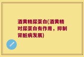 酒黄精尿蛋白(酒黄精对尿蛋白有作用，抑制肾脏病发展)