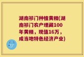 湖南祁门种植黄精(湖南祁门农户埋藏100年黄精，现值16万，成当地特色经济产业)